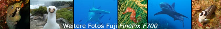 More photos with Funi FinePix F700 Galapagos Islands