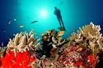 Maledives
