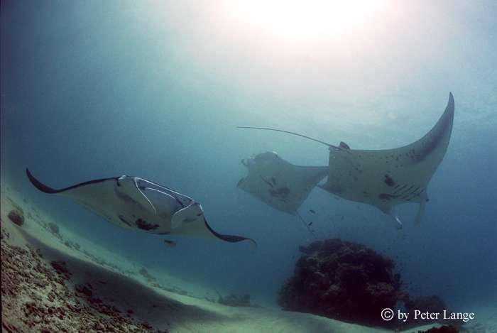 Papua Neuguinea