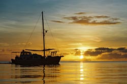 Ocean Hunter 1
