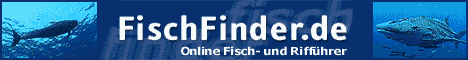 Der einzige Fisch- und Riffuehrer im Internet