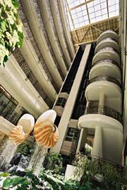 Palasia Hotel